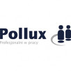 Logo Pollux