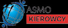 Logo ASMO Solutions